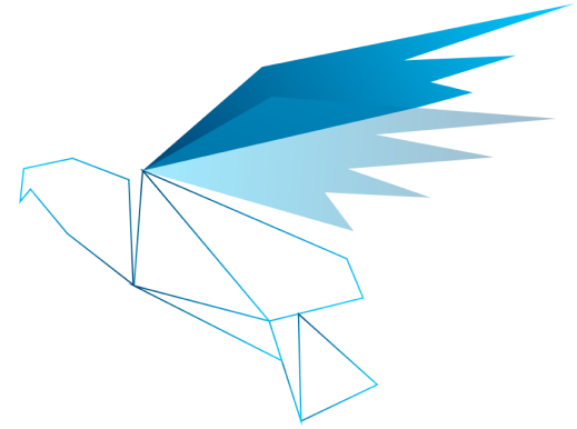 Bird outline